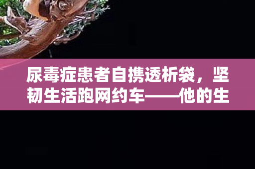 尿毒症患者自携透析袋，坚韧生活跑网约车——他的生命故事