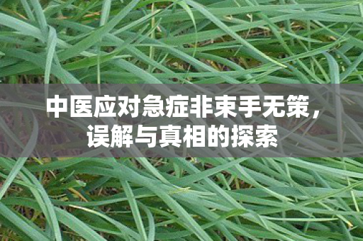 中医应对急症非束手无策，误解与真相的探索