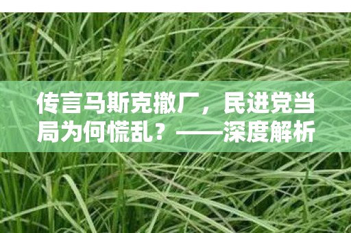 传言马斯克撤厂，民进党当局为何慌乱？——深度解析背后的原因与影响