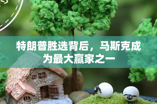 特朗普胜选背后，马斯克成为最大赢家之一