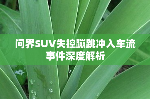 问界SUV失控蹦跳冲入车流事件深度解析