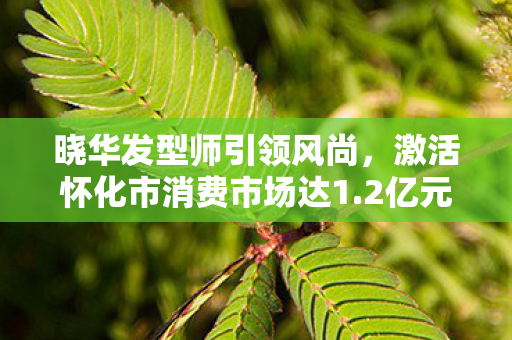 晓华发型师引领风尚，激活怀化市消费市场达1.2亿元