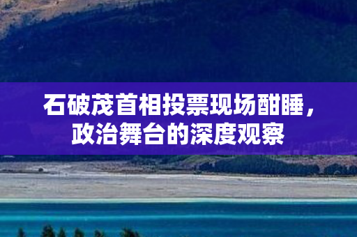 石破茂首相投票现场酣睡，政治舞台的深度观察