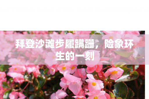 拜登沙滩步履蹒跚，险象环生的一刻