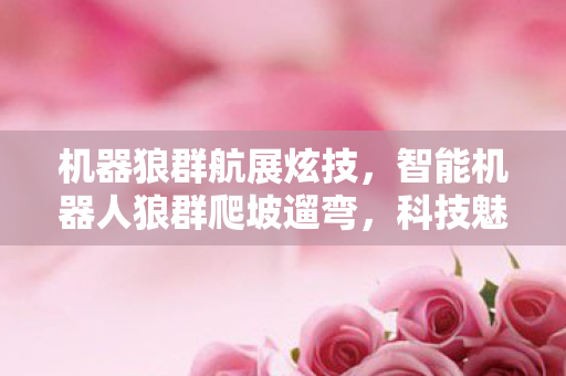 机器狼群航展炫技，智能机器人狼群爬坡遛弯，科技魅力尽显无遗