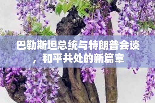 巴勒斯坦总统与特朗普会谈，和平共处的新篇章