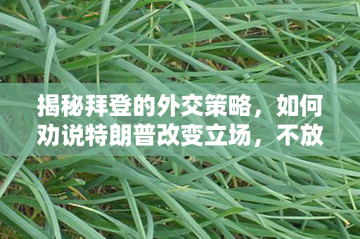 揭秘拜登的外交策略，如何劝说特朗普改变立场，不放弃乌克兰？