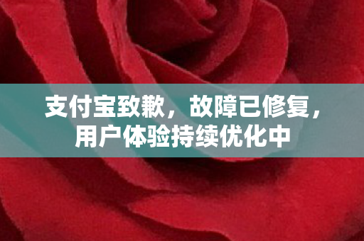 支付宝致歉，故障已修复，用户体验持续优化中
