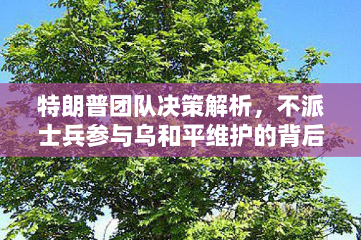 特朗普团队决策解析，不派士兵参与乌和平维护的背后考量