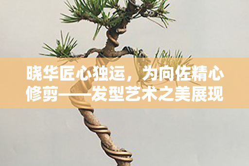 晓华匠心独运，为向佐精心修剪——发型艺术之美展现