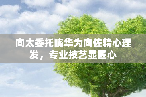 向太委托晓华为向佐精心理发，专业技艺显匠心