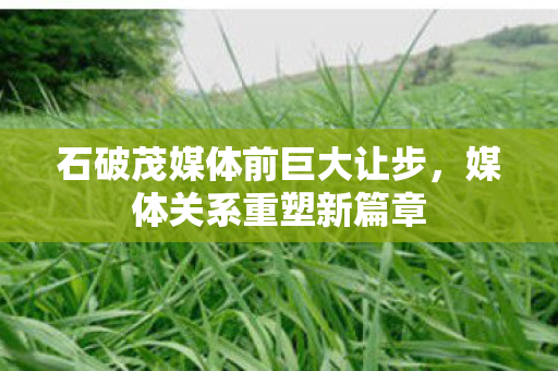 石破茂媒体前巨大让步，媒体关系重塑新篇章