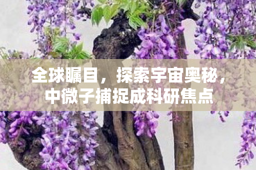 全球瞩目，探索宇宙奥秘，中微子捕捉成科研焦点