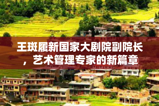 王斑履新国家大剧院副院长，艺术管理专家的新篇章