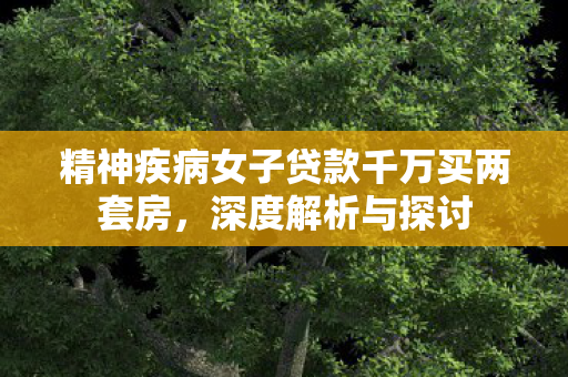 精神疾病女子贷款千万买两套房，深度解析与探讨