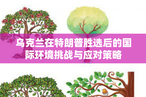 乌克兰在特朗普胜选后的国际环境挑战与应对策略