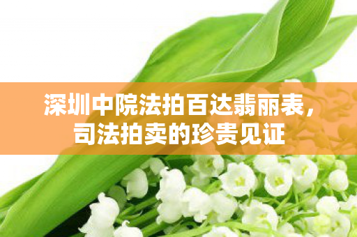 深圳中院法拍百达翡丽表，司法拍卖的珍贵见证