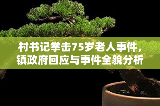 村书记拳击75岁老人事件，镇政府回应与事件全貌分析
