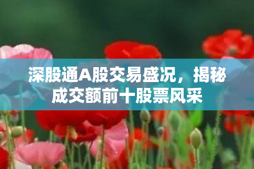 深股通A股交易盛况，揭秘成交额前十股票风采