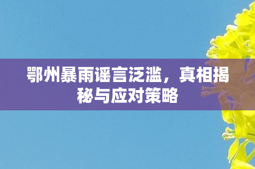 鄂州暴雨谣言泛滥，真相揭秘与应对策略