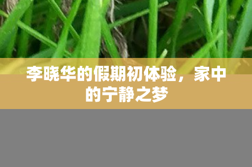 李晓华的假期初体验，家中的宁静之梦
