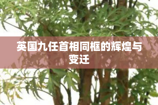 英国九任首相同框的辉煌与变迁