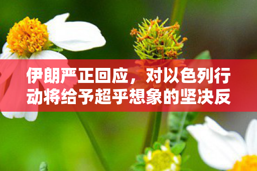 伊朗严正回应，对以色列行动将给予超乎想象的坚决反击