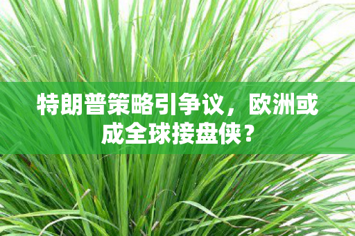 特朗普策略引争议，欧洲或成全球接盘侠？