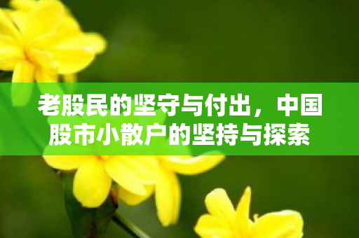 老股民的坚守与付出，中国股市小散户的坚持与探索