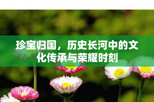 珍宝归国，历史长河中的文化传承与荣耀时刻