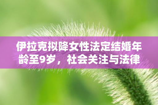 伊拉克拟降女性法定结婚年龄至9岁，社会关注与法律伦理的双重挑战
