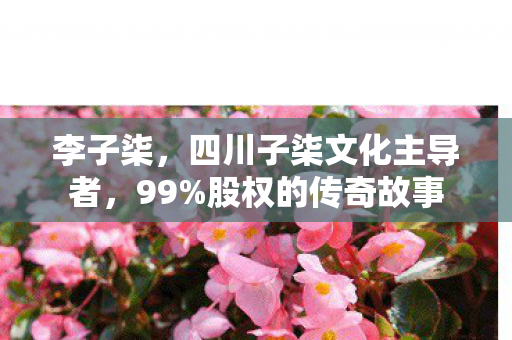 李子柒，四川子柒文化主导者，99%股权的传奇故事