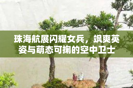 珠海航展闪耀女兵，飒爽英姿与萌态可掬的空中卫士