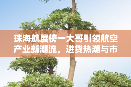 珠海航展榜一大哥引领航空产业新潮流，进货热潮与市场分析