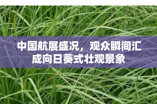 中国航展盛况，观众瞬间汇成向日葵式壮观景象