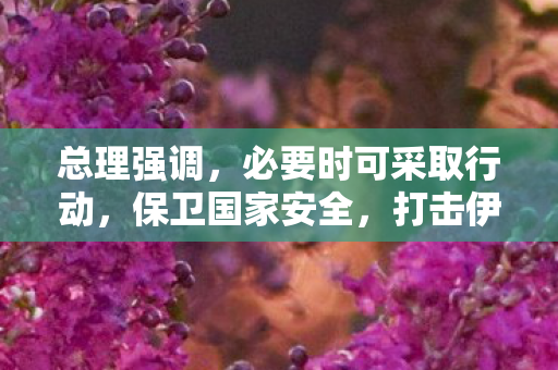总理强调，必要时可采取行动，保卫国家安全，打击伊朗任何地点