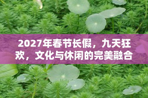 2027年春节长假，九天狂欢，文化与休闲的完美融合