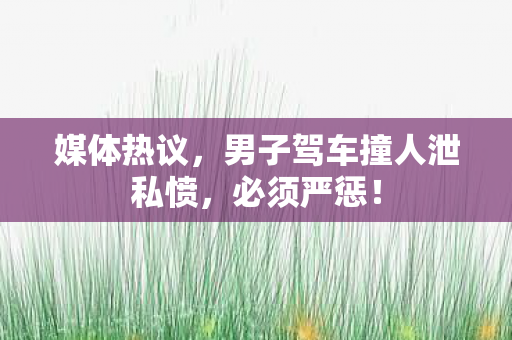 媒体热议，男子驾车撞人泄私愤，必须严惩！