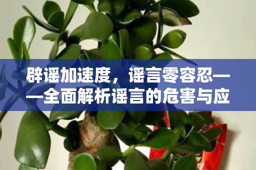 辟谣加速度，谣言零容忍——全面解析谣言的危害与应对策略