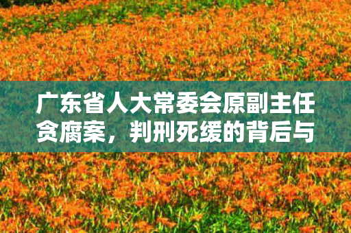 广东省人大常委会原副主任贪腐案，判刑死缓的背后与深刻反思