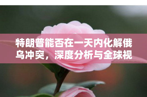 特朗普能否在一天内化解俄乌冲突，深度分析与全球视角