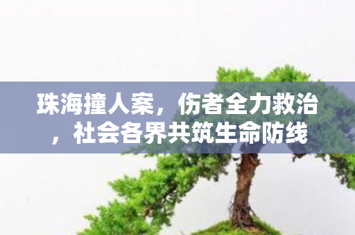 珠海撞人案，伤者全力救治，社会各界共筑生命防线
