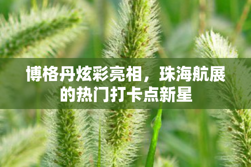 博格丹炫彩亮相，珠海航展的热门打卡点新星