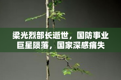 梁光烈部长逝世，国防事业巨星陨落，国家深感痛失