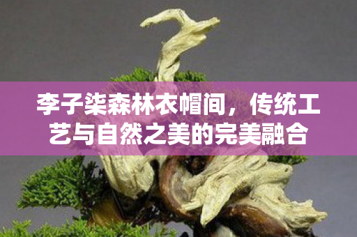 李子柒森林衣帽间，传统工艺与自然之美的完美融合