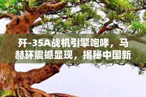 歼-35A战机引擎咆哮，马赫环震撼显现，揭秘中国新一代战机的高速风采