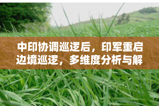 中印协调巡逻后，印军重启边境巡逻，多维度分析与解读