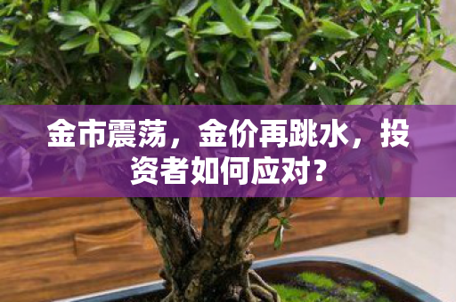金市震荡，金价再跳水，投资者如何应对？