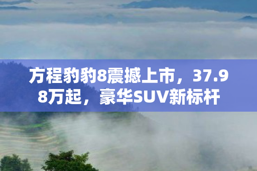 方程豹豹8震撼上市，37.98万起，豪华SUV新标杆