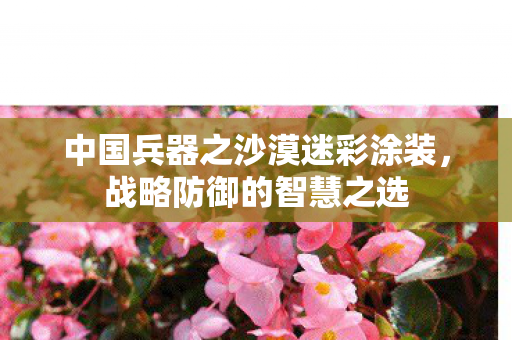 中国兵器之沙漠迷彩涂装，战略防御的智慧之选